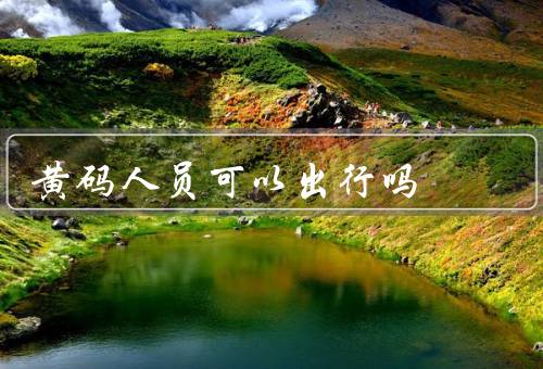 黄码人员可以出行吗