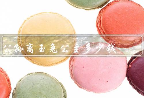 公孙离玉兔公主多少钱