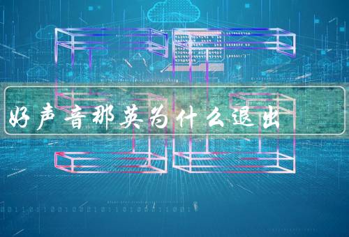 好声音那英为什么退出