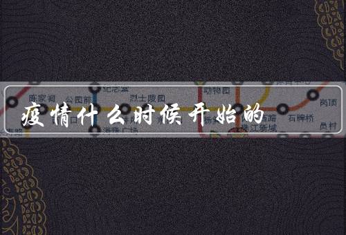 疫情什么时候开始的，2019年12月在出现（次年2月爆发）