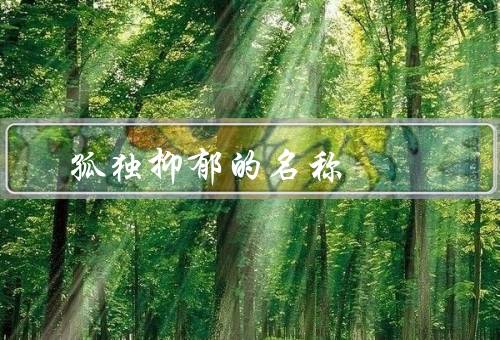 孤独抑郁的名称