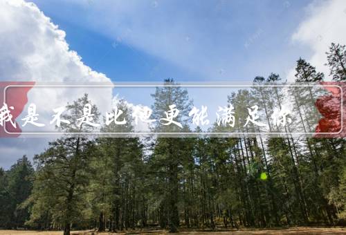 我是不是比他更能满足你