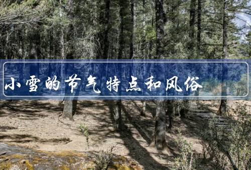 小雪的节气特点和风俗