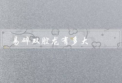 易碎双腔龙有多大