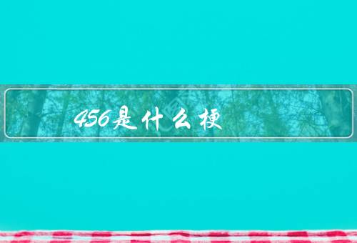 456是什么梗