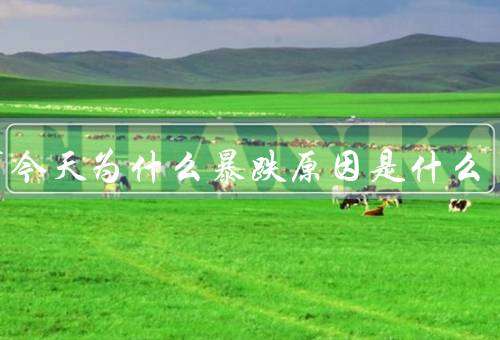 股市今天为什么暴跌原因是什么