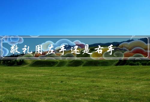 敬礼用左手还是右手