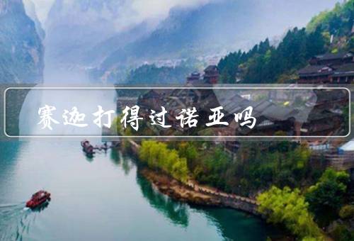 赛迦打得过诺亚吗