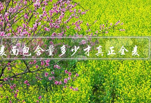 全麦面包含量多少才真正全麦