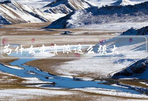 为什么走资派这么强大