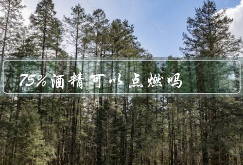 75%酒精可以点燃吗，酒精的易燃性／点燃75%酒精的条件