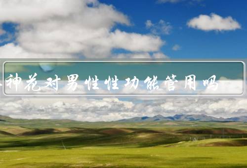 洛神花对男性性功能管用吗