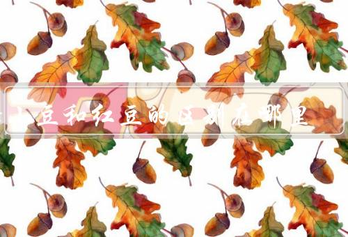 赤小豆和红豆的区别在哪里
