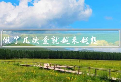 做了几次爱就越来越想