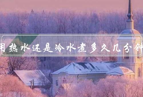 煮虾用热水还是冷水煮多久几分钟