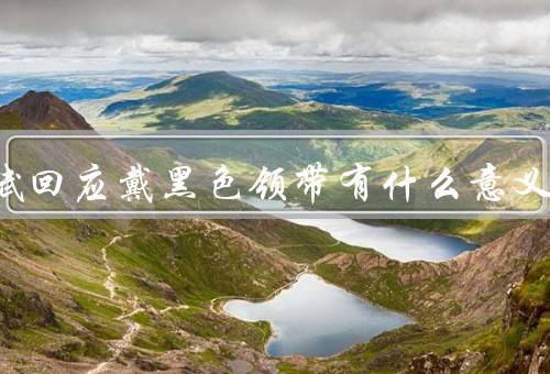 汪文斌回应戴黑色领带有什么意义