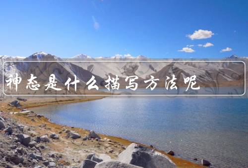 神态是什么描写方法呢