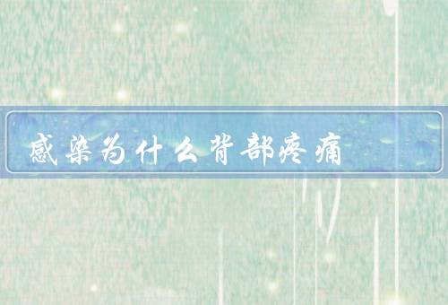 感染为什么背部疼痛