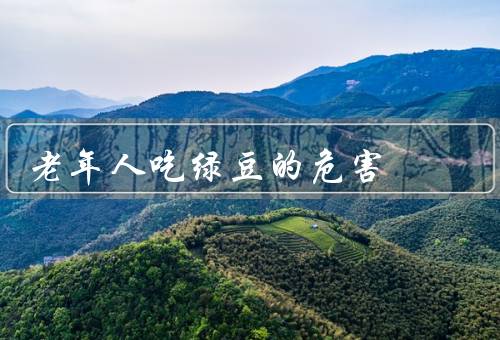 老年人吃绿豆的危害