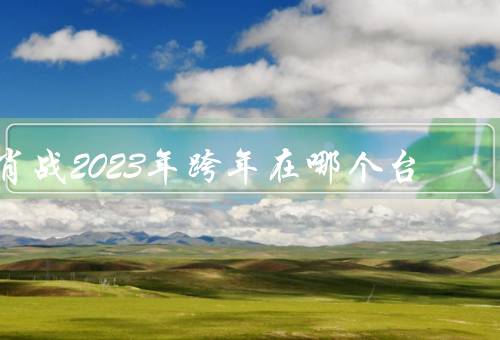 肖战2023年跨年在哪个台，将出现在江苏卫视的跨年晚会上