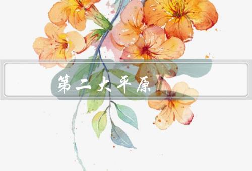 第二大平原