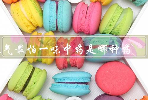 湿气最怕一味中药是哪种药