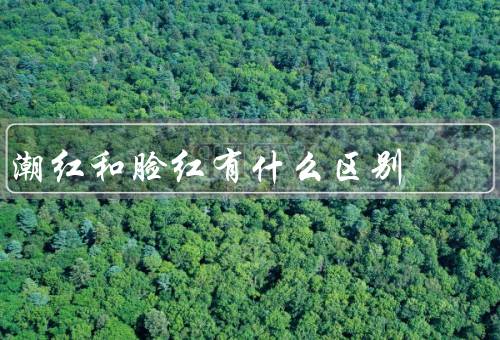 潮红和脸红有什么区别
