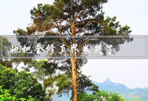她把全修真界卷哭了