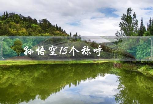 孙悟空15个称呼