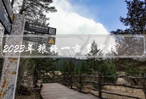 2023年粮补一亩多少钱