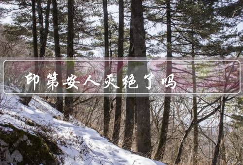 印第安人灭绝了吗
