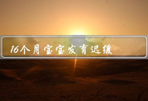16个月宝宝发育迟缓