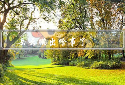 岳云鹏出啥事了