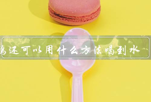 乌鸦还可以用什么方法喝到水