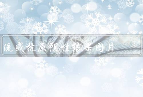 流感抗原阴性结果图片