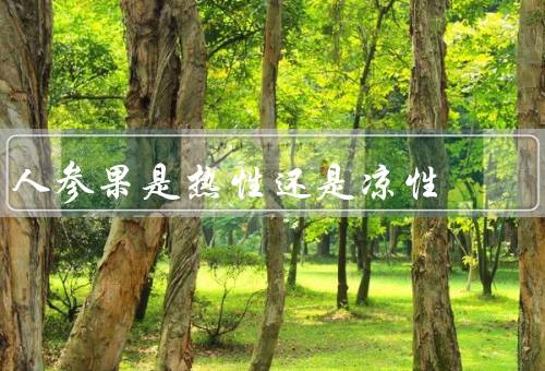 人参果是热性还是凉性