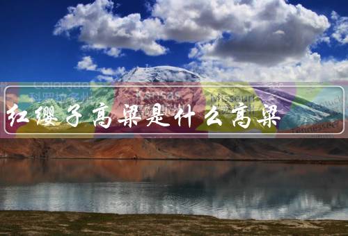 红缨子高粱是什么高粱