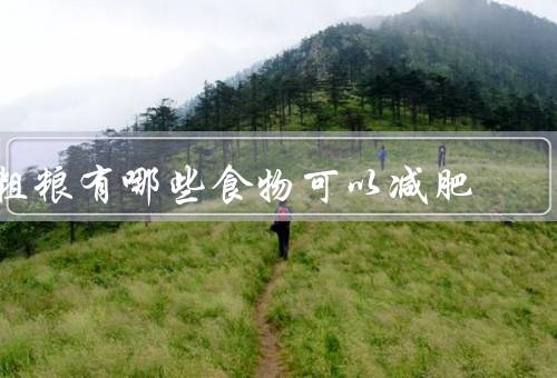 粗粮有哪些食物可以减肥