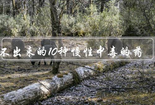 验不出来的10种慢性中毒的药
