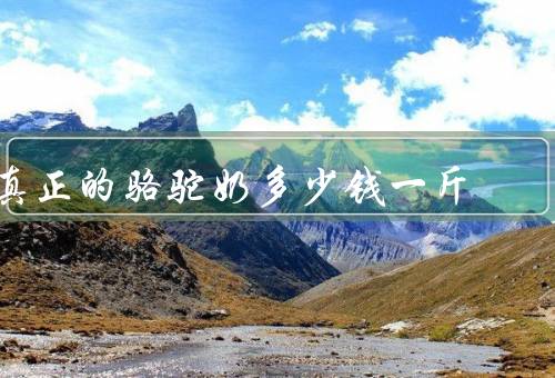 真正的骆驼奶多少钱一斤