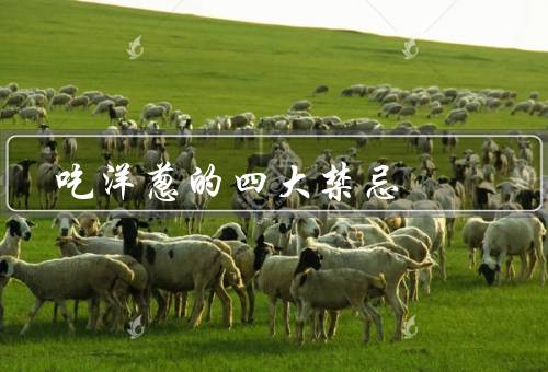 吃洋葱的四大禁忌，体味大／过敏者／肠胃不好者不能吃（会加重）