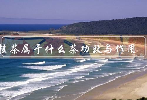 肉桂茶属于什么茶功效与作用