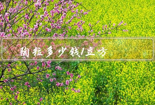 陶粒多少钱1立方
