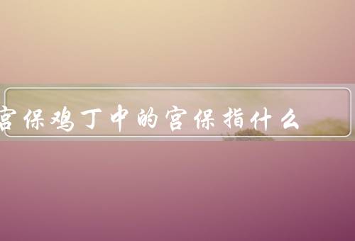 宫保鸡丁中的宫保指什么