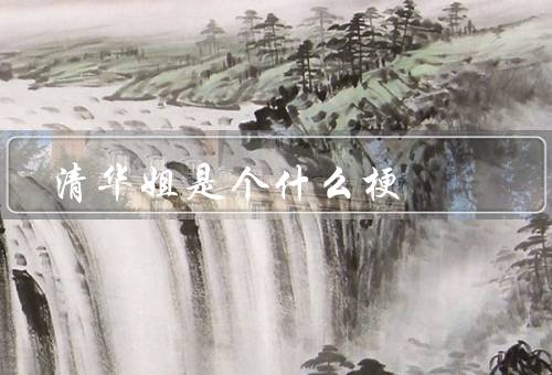 清华姐是个什么梗