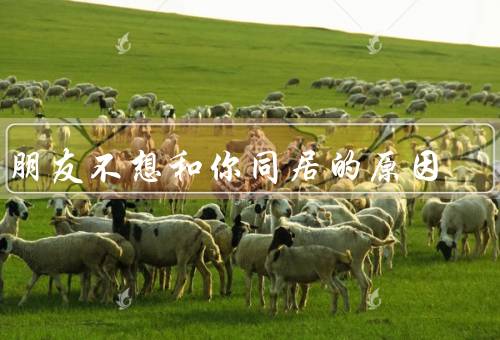 男朋友不想和你同居的原因