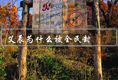 艾辰为什么被全民封