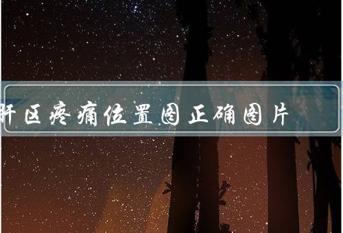 肝区疼痛位置图正确图片，在右侧上腹间歇性疼痛（多为隐痛／刺痛）