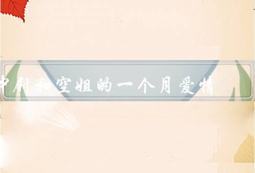 中尉和空姐的一个月爱情