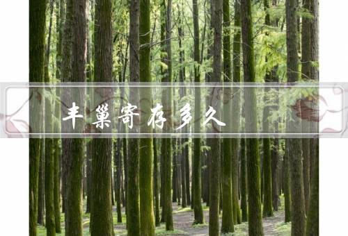 丰巢寄存多久，寄存时间为18个小时（超时会收费）